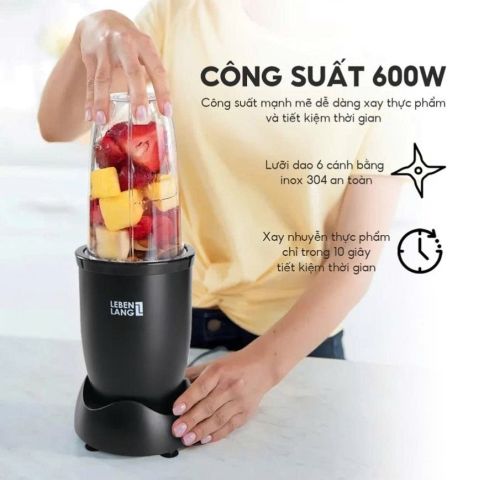 Máy xay sinh tố cầm tay Lebenlang LBL2628