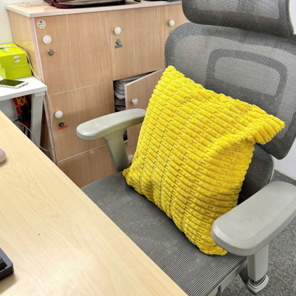 GỐI NHUNG TỰA LƯNG SOFA 